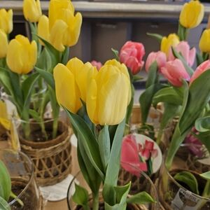 Come And Shop Today💛📦